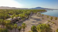Hotel Oasis Hotels in Loreto