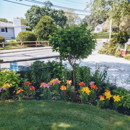 Remodeled historical Gosnold Cottage.300 yards to the beach.
