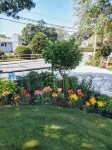 Remodeled historical Gosnold Cottage.300 yards to the beach. - Bãi biển