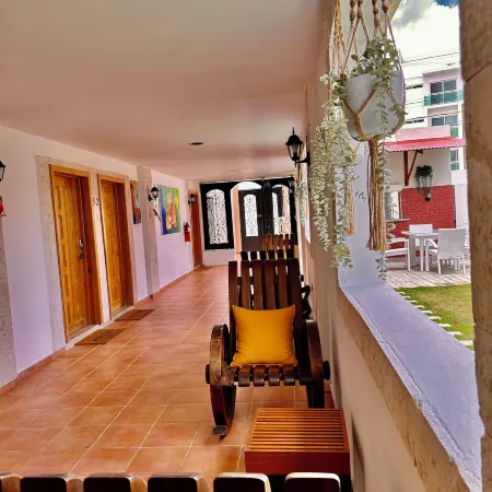 Noé Hotel