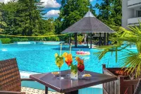 Ambient Hotel & Aroma Spa - piscina