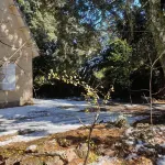 Chalet Ifrane Hotels near Ifrane Lion