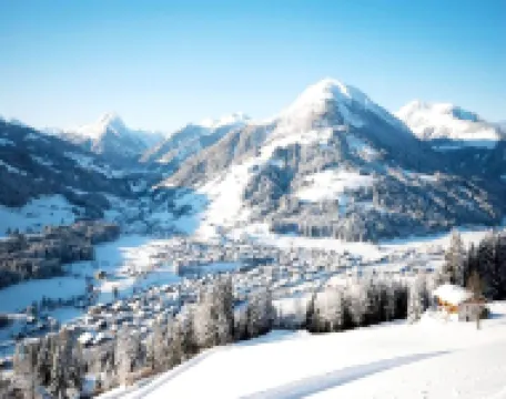 蒂羅爾滑雪區公寓-原TUI度假屋