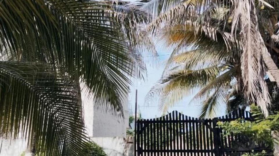 Azul príncipe