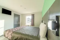 Royal Inn - Ramah Hewan Peliharaan