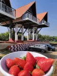 Mansha's High5 Resort Hotels in Moleshwar