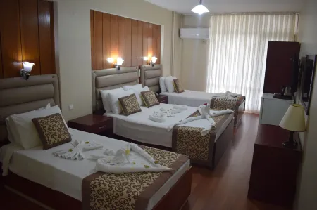 Otel Orhan Отели в г. Efeler