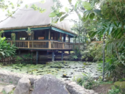 Rainforest Eco Lodge Hotel di 