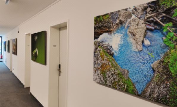 Saminapark Aparthotel