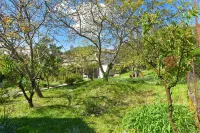 Branka Apartments - 3 stelle