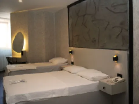 カリロイヤルホテル デニズリのホテル