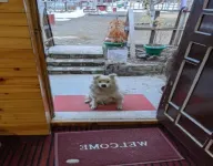 StayApart - Shruti Guest House Hotel a Seringche