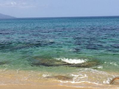 ホテル周辺 マリンブルー屋久島の写真