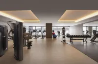 Park Hyatt Niseko Hanazono - palestra