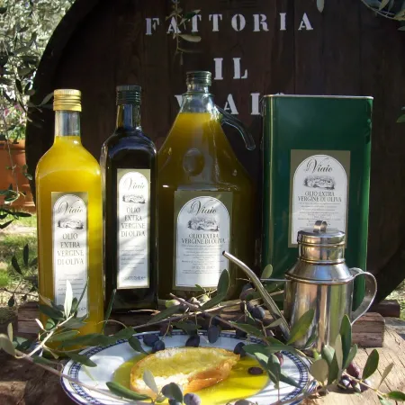 Agriturismo IL Viaio