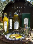 Agriturismo IL Viaio
