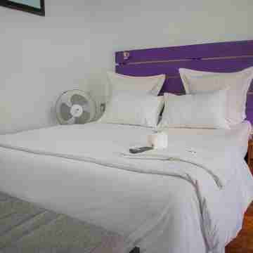 27 Bishop Gaul Ave Rooms