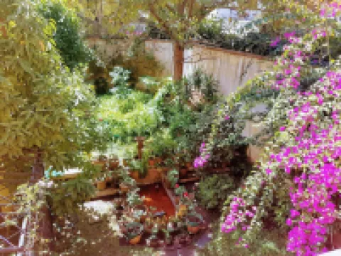 Casa Carmel Bed & Breakfast Hotels near Plaza de la Constitución