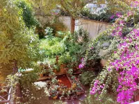 Casa Carmel Bed & Breakfast Hotels in Mixco