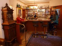 Hotel Alpenblick - bars