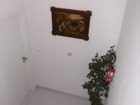 迷笛公寓飯店 國家森林音樂劇場附近的飯店