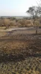 Pop Lamont Camp Hotels in Chobe