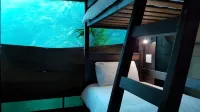 Tree Top Village Urban Glamping