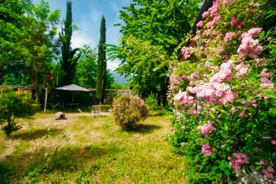 Hotel Chateau Eniseli Hotels in Almati