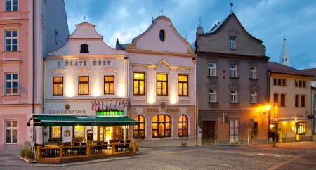 Hotel Concertino Zlatá Husa Отели в г. Nova Bystrice