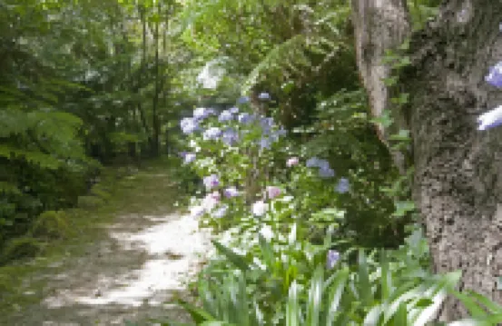 Lotus Lodges