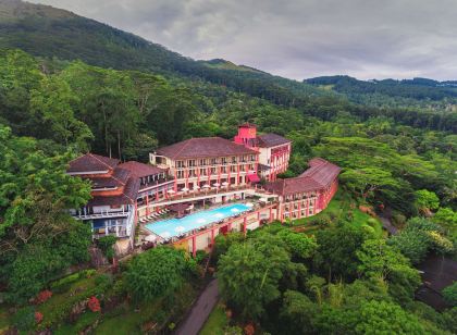 アマヤ ヒルズ キャンディ