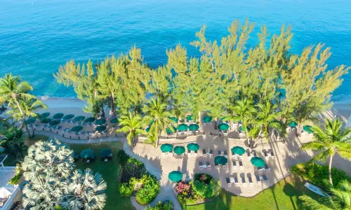 Coral Reef Club