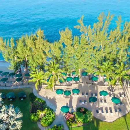 Coral Reef Club