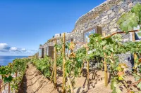 Socalco Nature Calheta Hotels in Lombo Do Doutor