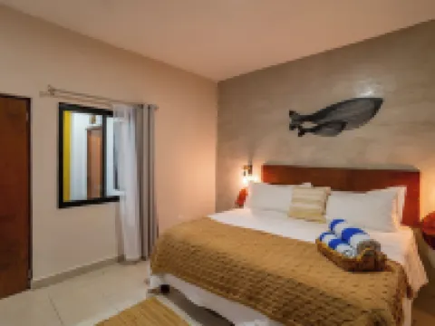 カーサ マデロ ラ パス ラパスのホテル