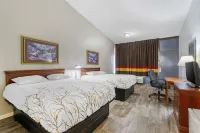 Rodeway Inn - 2-Star