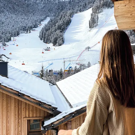 Liondes Chalets