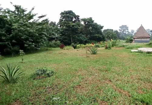 Refuge du Mont Agou Hotels in Kloto