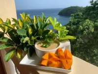 Story Villa 1 Bedroom with Ocean & Mountain View Hotels in Anse La Raye