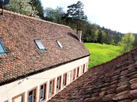 Maison d'hôtes de Charme - Ancien Moulin en Pleine Nature - la Paulusmühle Hotels in Reipertswiller
