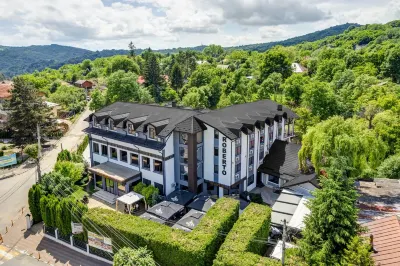 Hotel Roberto Slanic Prahova Hotels in 