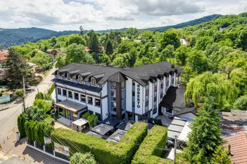 Hotel Roberto Slanic Prahova Hotels in Slănic