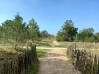 Atlantique 165 Отели в г. Л'Эгийон-ла-Прескиль