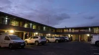 The Olive Tree Motel - Motels