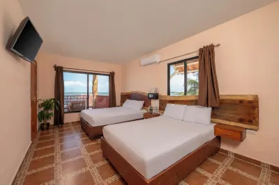 Hotel El Perico Marinero فنادق في Rio Lagartos