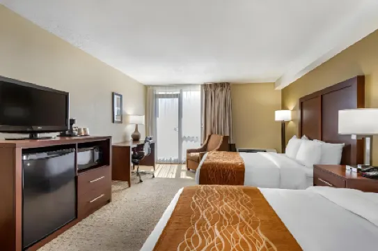 Comfort Inn & Suites Near Danville Mall