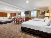 Comfort Inn & Suites Durango Hotels in Durango