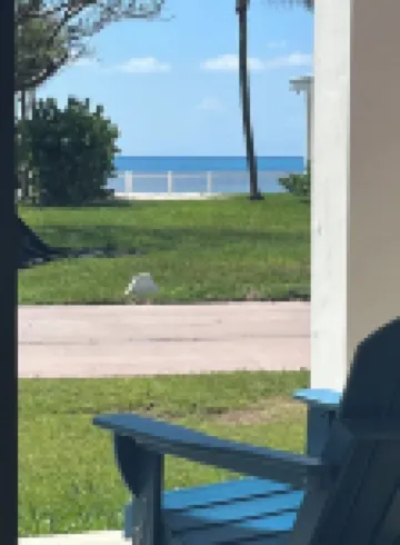 Oceanview 2 bed, 2 bath, steps away from clubhouse, beach and pool.