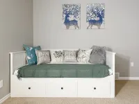 Beautiful Home - 3BR w/Office Hotels near SB Crowfoot CTrain Station