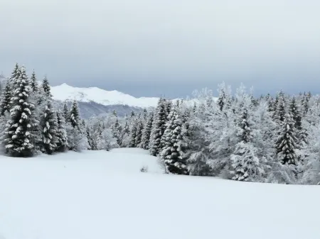 ALMHÜTTE IN THE NATIONAL PARK JULIAN ALPN -BOHINJJ Отели в г. Бохінь